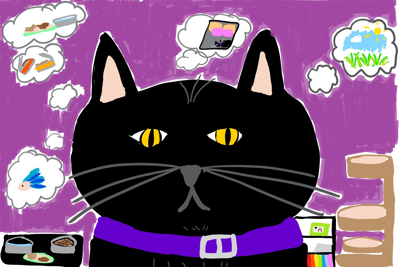 Drawing of our cat, Shadow